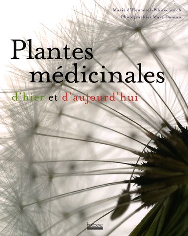 Plantes médicinales