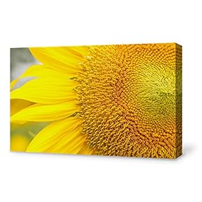 Canvas Wall Art for Living Room,Bedroom Home Artwork Paintings Close-up of Flower Ready to Hang - 12x18 inches