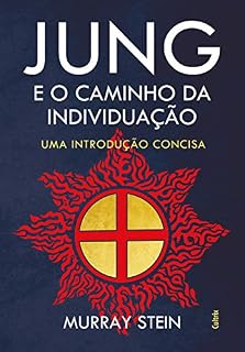 Livro Jung e o Caminho da Individuação: Uma Introdução Concisa