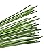 eBoot Floral Stem Wire 18 Gauge Wire 14 Inch, 50 Pack (Green)
