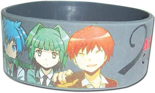 Wristband - Students