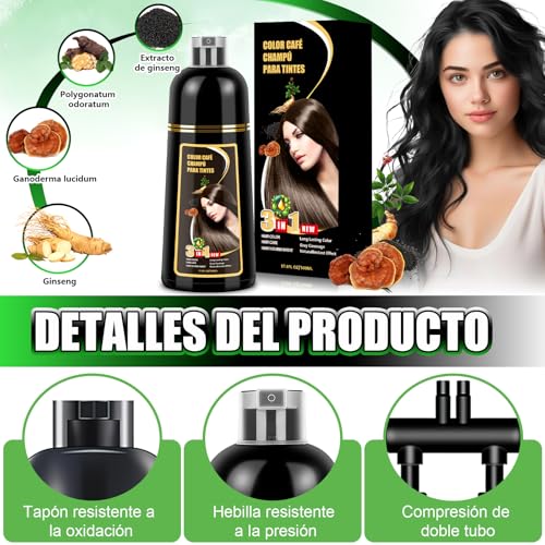 Shampoo con Tinte 3 en 1 Hair Dye Shampoo Negro Cubre Canas al Instante Extracto Jengibre y Ginseng Tratamiento Capilar Colorante 500ml para Todo Tipo de Cabello Mujer y Hombre
