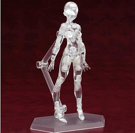 Amazoncom Dothr 13cm Femalemale Body Chan Painting Action