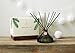 Thymes Frasier Fir Reed Diffuser - 4.1 fl.oz.