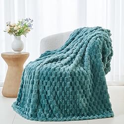 NEWCOSPLAY Super Soft Twin Blanket Light Teal