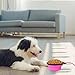 PERSUPER Collapsible Dog Bowl,2 pack Food Grade Silicone Foldable Expandable Dog Pet Bowl,Portable Travel Bowl with Carabiner,Durable Dog Water Bowl,Cat Dog Food Water Feeder Bowl,Blue&Pink