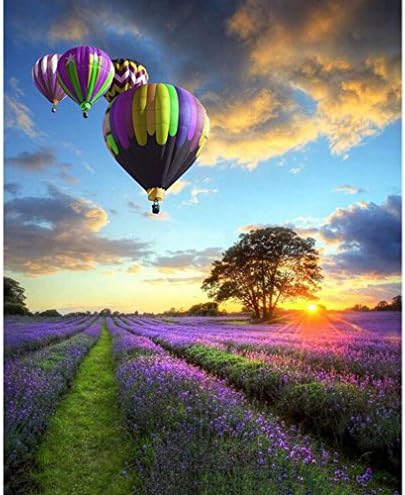 Paint by Number Kit,Diy Oil Painting Drawing Lavender Garden Balloon Canvas with Brushes Decor Decorations Gifts - 16x20 inch Frameless