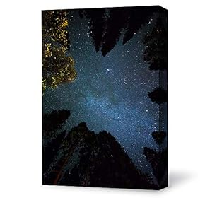 Bright Moon Shining Forests Painting Artwork for Home Framed