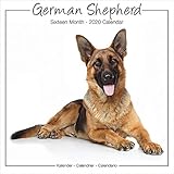 German Shepherd Calendar - Calendar German Shepherd - Dog Breed Calendars - Calendars 2019 - 2020 Wa by 