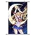A Wide Variety of Bishoujo Senshi Sailor Moon Anime Characters Wall Scroll Hanging Decor (Tsukino Usagi 6)