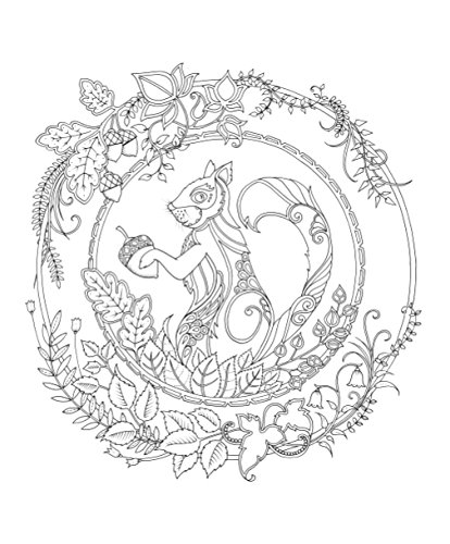 ねむれる森 アーティスト セレクション ジョハンナ バスフォード 本 通販 Amazon