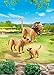 Playmobil Lion Family Building Kit