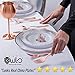 Rose Gold Plates 120pcs Eco-Friendly & Extra Strong. Premium China Lookalike Plastic Plates for Baby Shower, Birthday & Wedding. No Cleanup with Disposable Plates. Re-Usable Rose Gold Party Plate