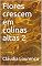 Livro Flores crescem em colinas altas 2