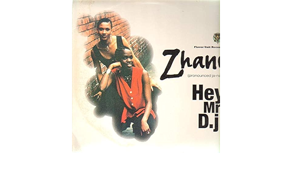 zhane hey mr dj