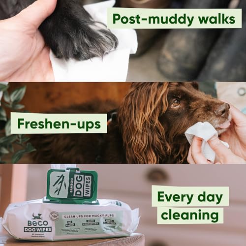 Beco Dog Wipes - 1 Pack of 80, Coconut Scented, For Paws, Body and Bum, Plant-Based Grooming Wipes