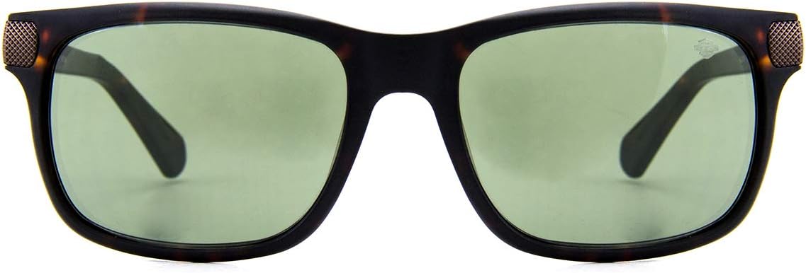 buy harley davidson sunglasses