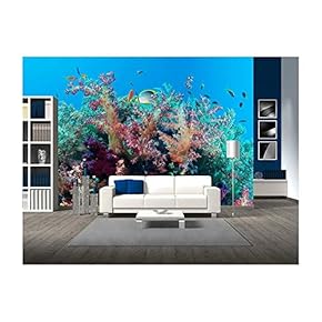 Colorful Underwater Offshore Rocky Reef with Coral and sponges and Small Tropical Fish Swimming by in a Blue Ocean - Removable Wall Mural | Self-Adhesive Large Wallpaper - 66x96 inches