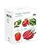 Germination Kit for Veggies | Grow Zucchini, Strawberry, Green Beans, Sweet- & Hot Peppers from Seed | Complete Indoor Gardening Gift Item | Ideal Plants for Kids & Craft Days |