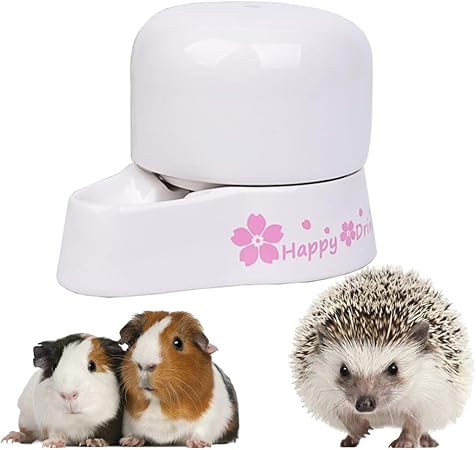 amazon guinea pig water bottle