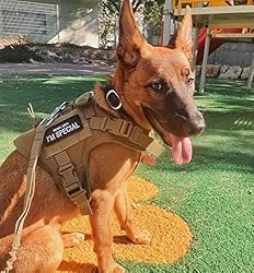 AegisTac Mama Says I'm Special Tactical Patch