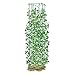 Gardeners Supply Company Large Bean Tower Plant Support | Sturdy Weatherproof Outdoor Beans, Tomato & Other Climbing Vegetable Garden Stake | 75