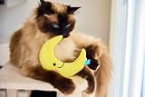 Petface Moon Plush Kitten Cat Toy with Natural Catnip view 5