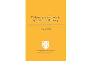 Path Integral Methods in Quantum Field Theory