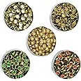 Embroidery Point Kundan Stones Beads Flat Back Glue On Rhinestones for Jewellery Making Embroidery 500 Pcs Round Shape (Multi)