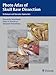 Photo Atlas of Skull Base Dissection: Techniques and Operative Approaches