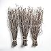ECOWOODDECOR 100 pcs Birch Twigs for vase decoration. Set of 2 Bundles of Branches 100% natural sticks 17 inches