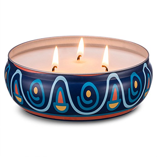 Geelywax Scented Candles 16 Oz Super Large Size Travel Tins 100% Natural Soy Wax Multiple-Wick Lavender Aromatherapy Candle Gift Set, Fresh and Clean