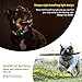 Allenker Bark Collar Rechargeable – Smart Detection Dog Bark Collar with 3 Correction Modes: Beep Vibration Harmless Shock – Waterproof No Bark Collar For Small Dogs,Meduim and Large Dogsthumb 4