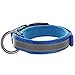 Pawtitas Lumberjack Padded Martingale Collar for Dogs | Soft Neoprene Dog Collar for Your pet's Comfort Made with Reflective Band for Maximum Visibility | Fits Small and Large Pets - XXS Blue