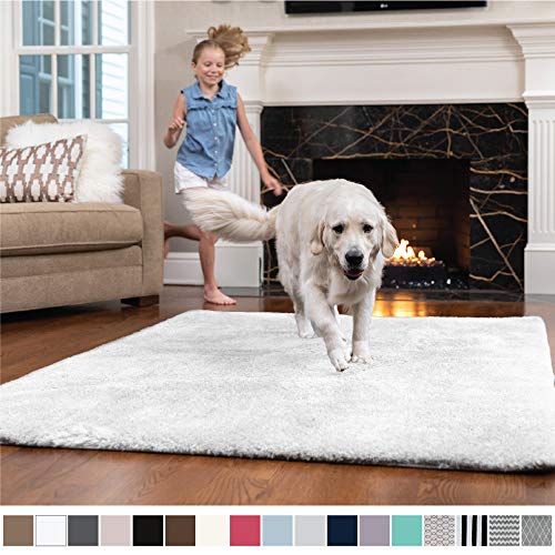 Best living room rug 5×9