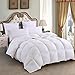 Emolli All Season King Comforter Summer Soft Quilted Duvet King, Duvet Insert King, Machine Washable, Stand-Alone Comforter(King-90x100inch)
