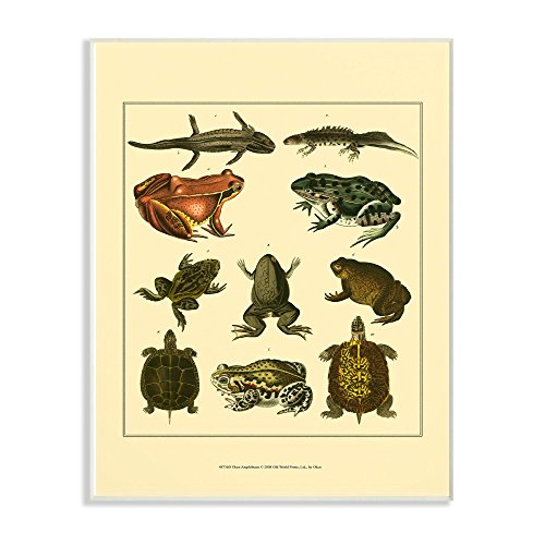 Stupell Industries Frog and Newt and Turtle Illustrations Wall Plaque Art, 10 x…