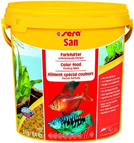San Fish Food