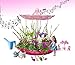 Fairy Garden Craft Kit Advanced Play - Kids Garden Set for Boys and Girls - Grow Your Very Own Magic Flowers and Plants Indoor - Best Creativity Gardening Gift for Kids 3 - 10 Years Old (Pink)