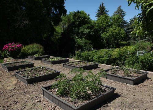 Lifetime Raised Garden Bed Kit - Image 6