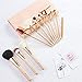 amoore Makeup Brushes 12pcs Makeup Brush set Makeup Brush with Case Foundation Brush Powder Brush