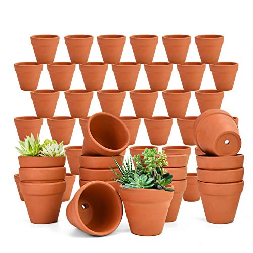 June Fox 48 PCS Small Terracotta Pots, 2" Mini Clay Pots, Flower Pots