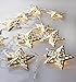 Velice Battery Operated Warm White LED Fairy Lights 10 Metal Star String Decoration Light for Festival Halloween Christmas Party Wedding (Silver)