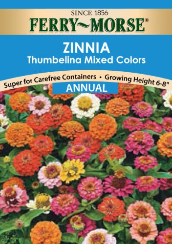 Ferry-Morse Zinnia Thumbelina Mixed Colors Seeds (Annual)