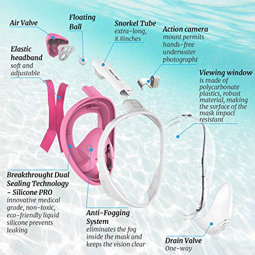 weird tails 2019 Upgraded Full Face Snorkel Mask, Foldable Snorkeling Mask for Adults and Kids with Camera Mount 180° Large Panoramic View Easy Breath Dry Top Set Anti-Fog Anti-Leak