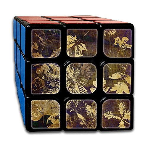Aijunxia Art Leaves Autumn Background Card 3x3x3 Speed Cube Smooth Magic Cube Puzzles Easy Turning And Smooth Play