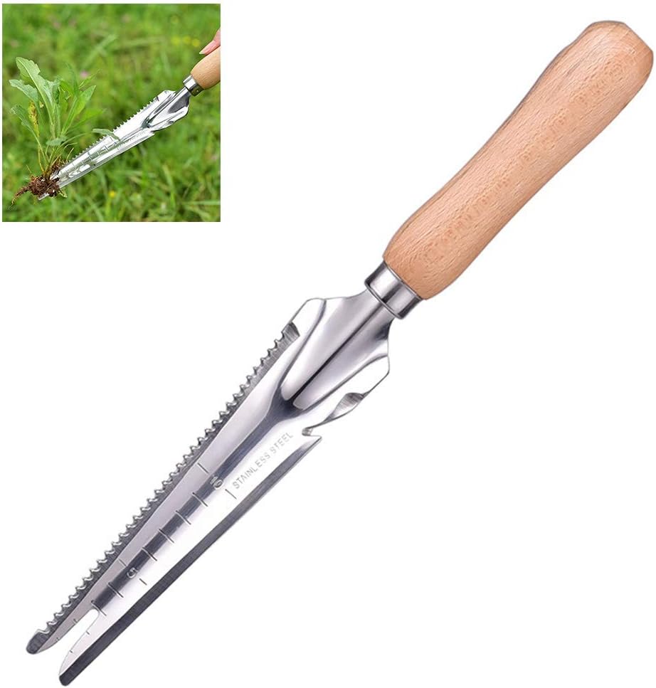 Spear & Jackson Kew Gardens - Couteau De Plantation Et Désherbage En Acier Inoxydable Premium