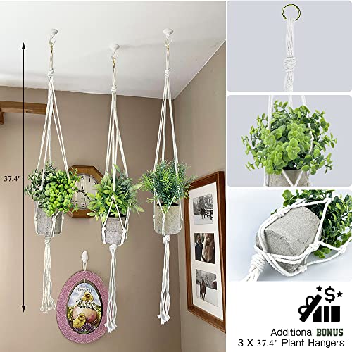 3 Pack Fake Hanging Plants Artificial Plants with 3 Macrame Plant