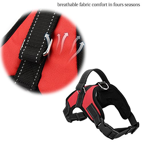 kiwitata Dog Harness- Leash Included,Dog Vest Halter Soft Padded Harness Leashes Set,Adjustable and Durable Harness for Pet All Size Dog Daily Training Walking Running