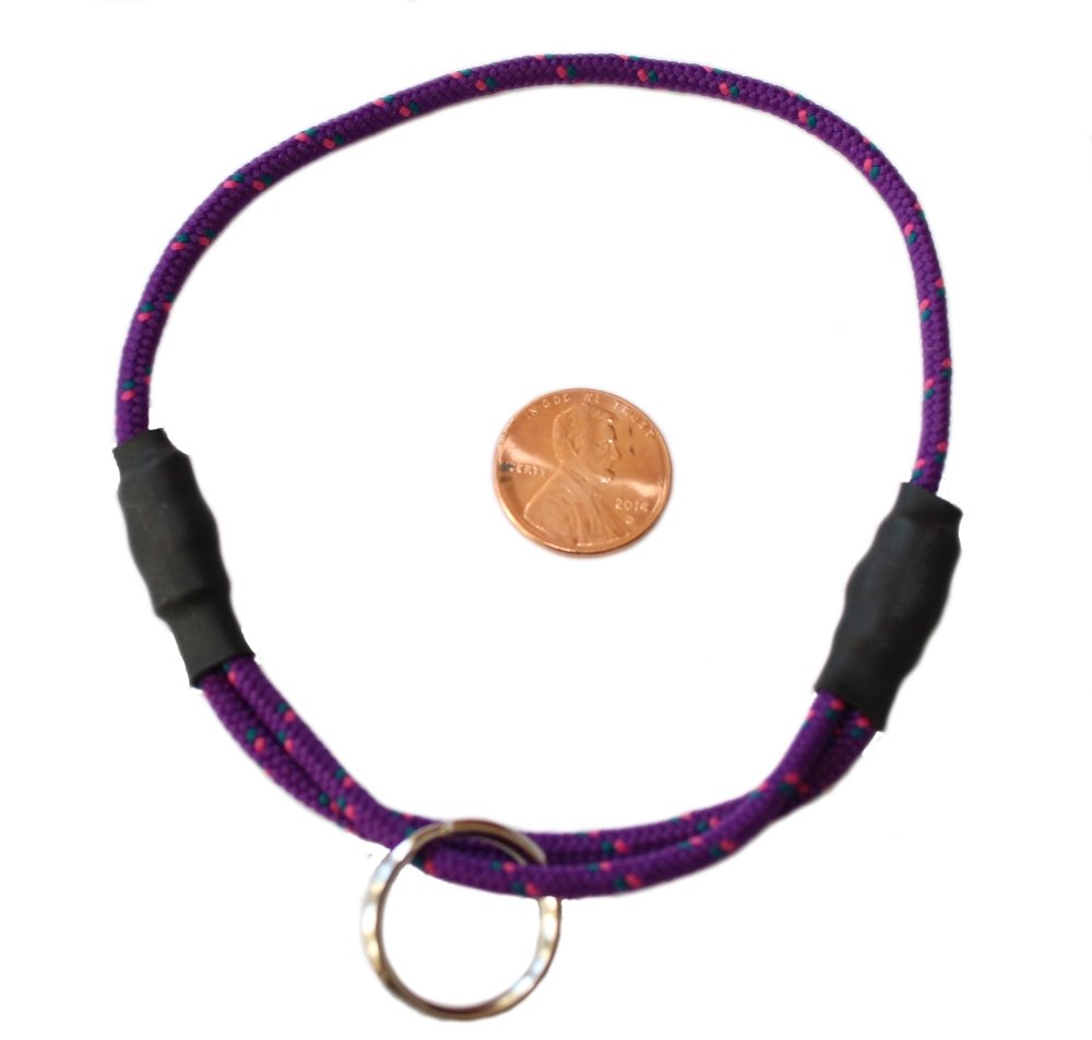 National Leash Thin Mountain Rope Dog ID Collar - Plum Punch -XS/Toy Size (6"-12") - The Original Snickers Collar